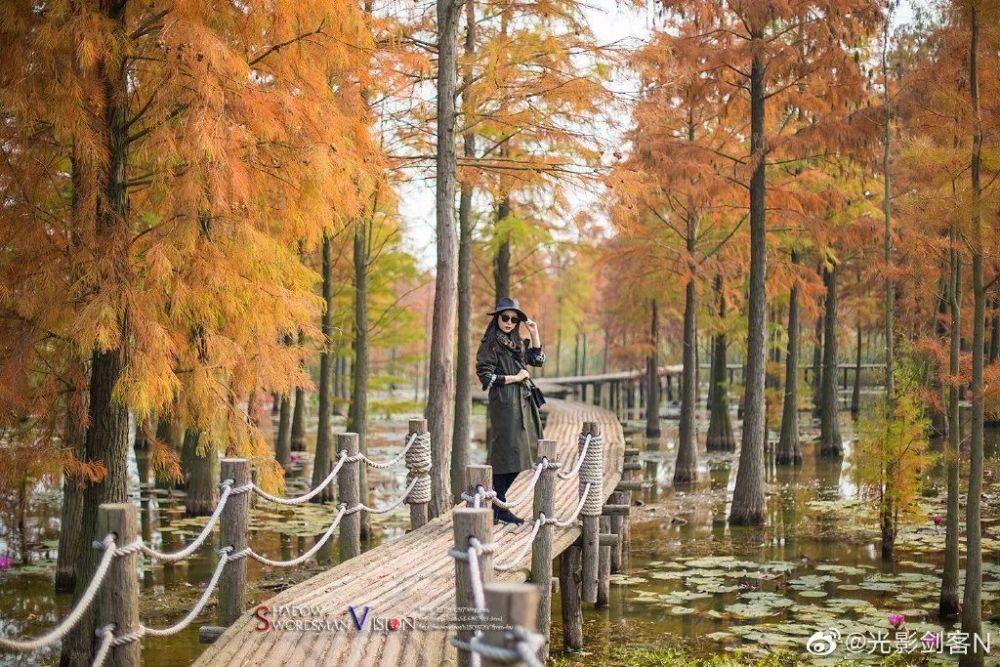 李德生之子,对越反击战时,被敌人包围,危急时刻大喊:向我开炮